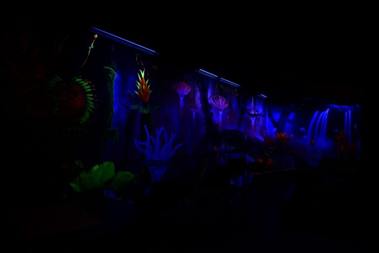 Wonderfruit venue