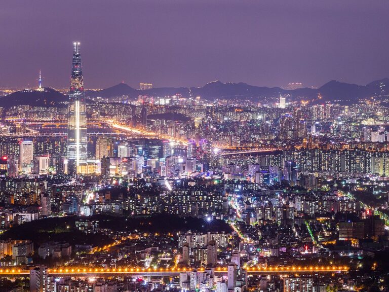 Seoul Nightscape with city lights